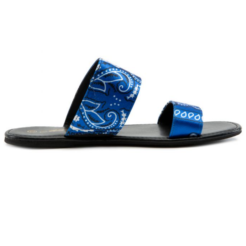 AKIRA Slides